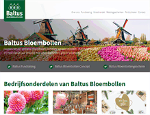 Tablet Screenshot of bloembollen.com